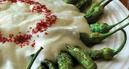 Yoğurtlu Yeşil Biber